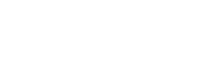 Logo-DS-PNG