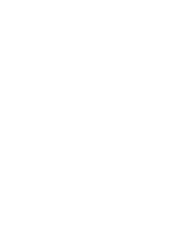 Vizler-Logo-White